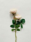 Rose 46 cm Creme thumbnail