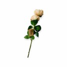 Rose 46 cm Creme thumbnail