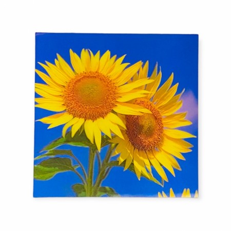 Dobbelt kort med konvolutt - 3D effekt solsikke
